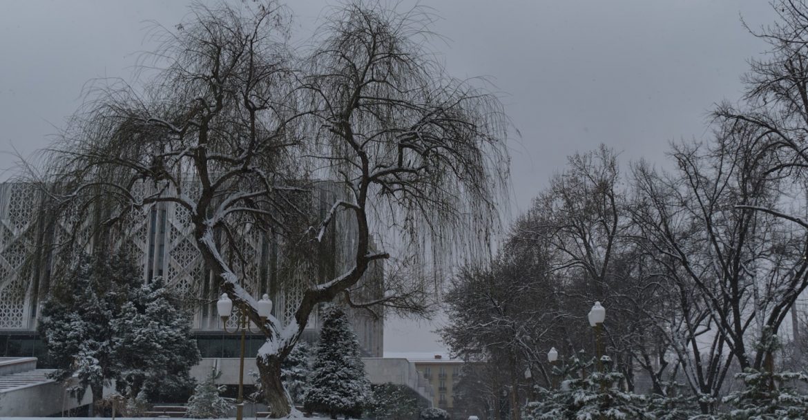 An early snow day with light snow on a foggy day.