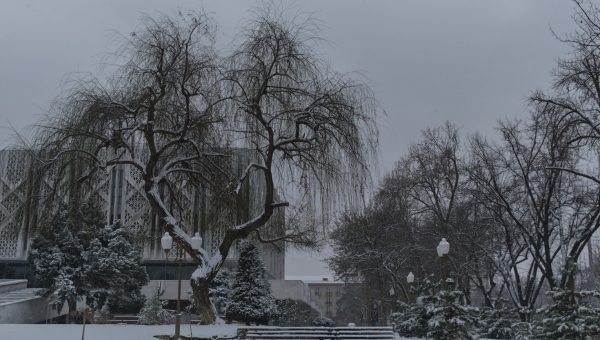 An early snow day with light snow on a foggy day.